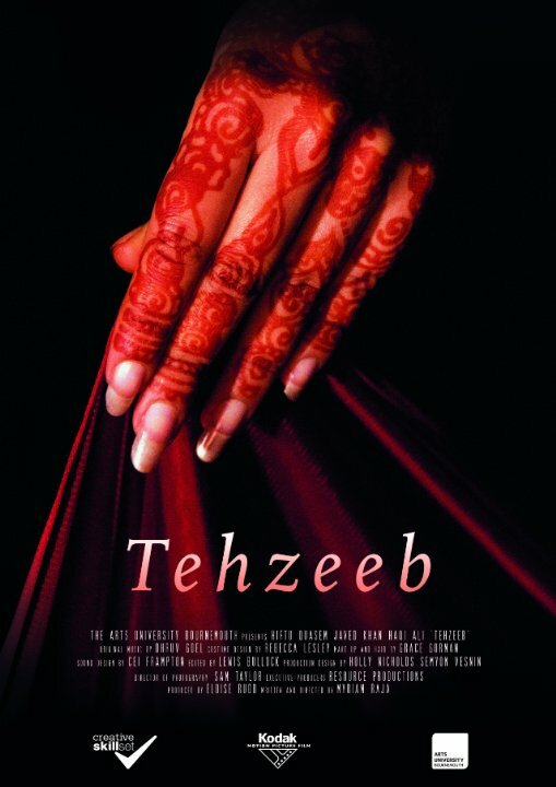 Tehzeeb (2015)